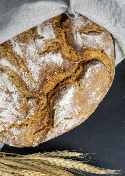 Plappermaul Leistung Ergebnis von Fotoshooting Brot
