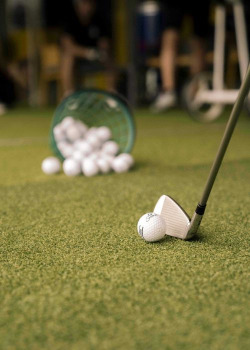 Plappermaul Leistung Ergebnis von Fotoshooting Golf