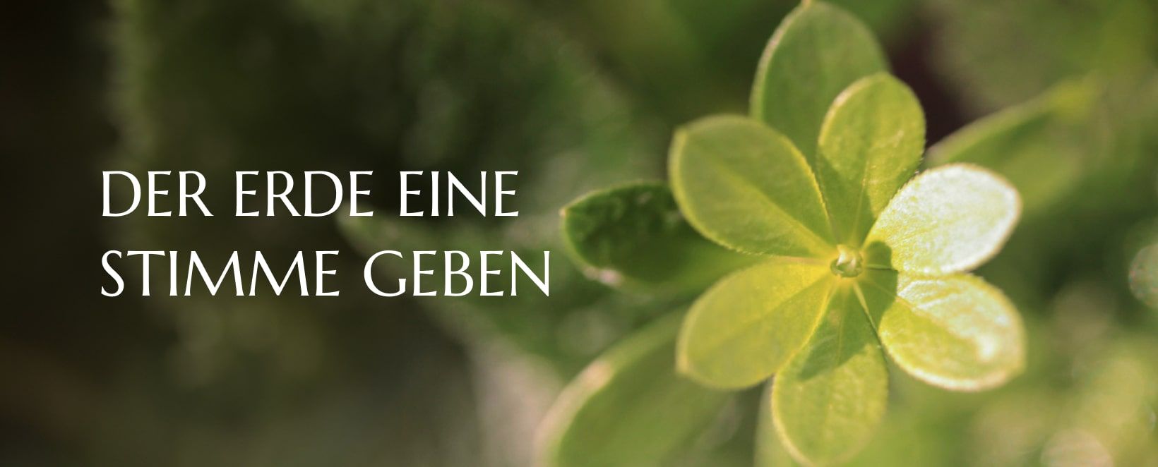 der Erde eine Stimme geben