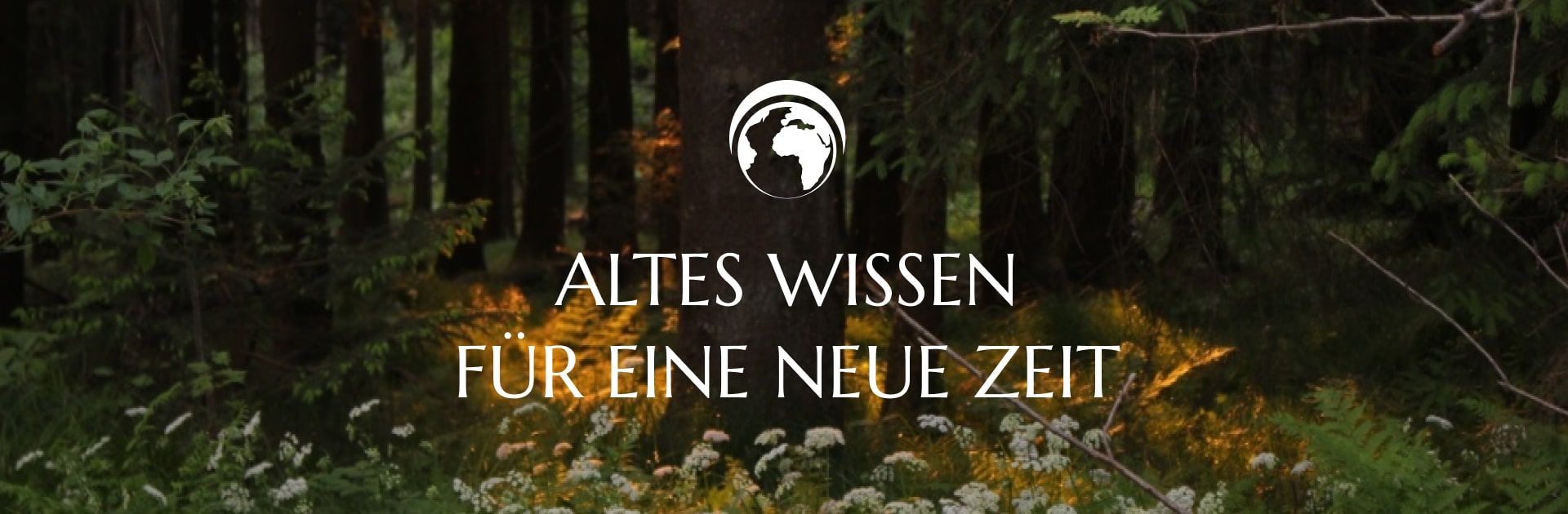 Plappermaul Referenz Altes Wissen Neue Zeit