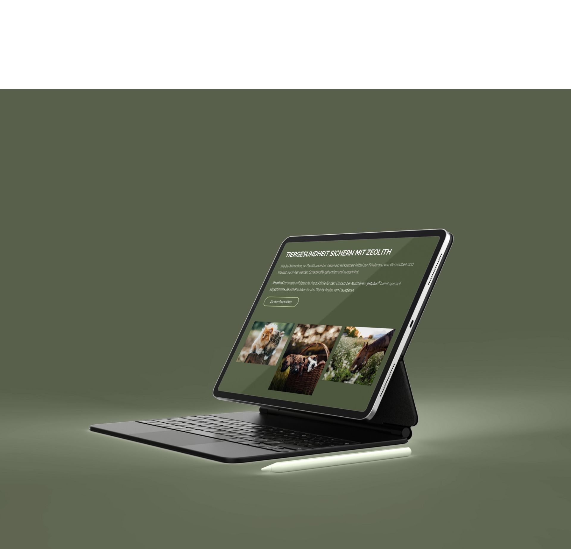 plappermaul referenz lithos mockup ipad