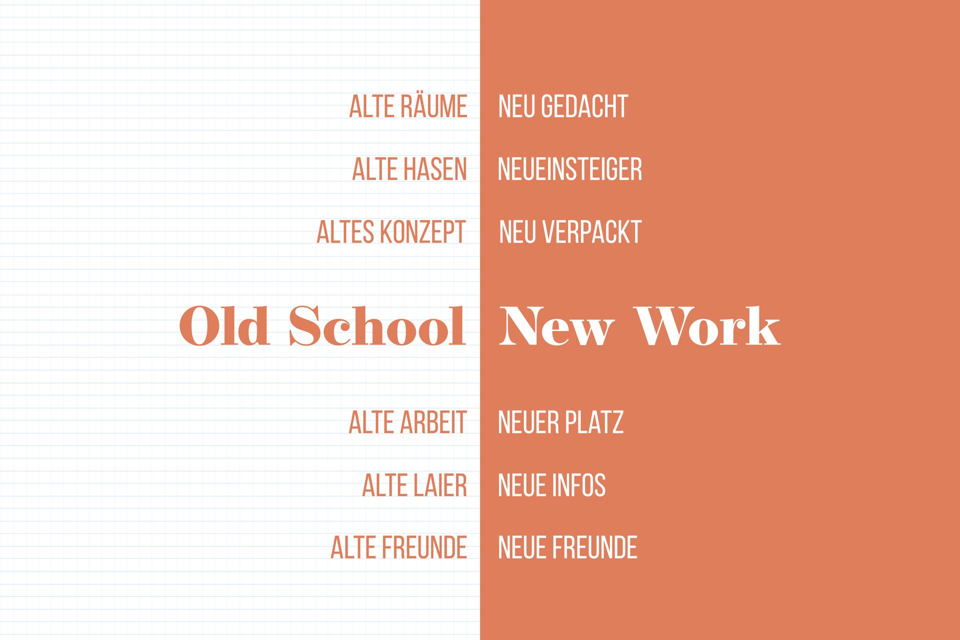 plappermaul arbeiten das franzi logo und corporate design