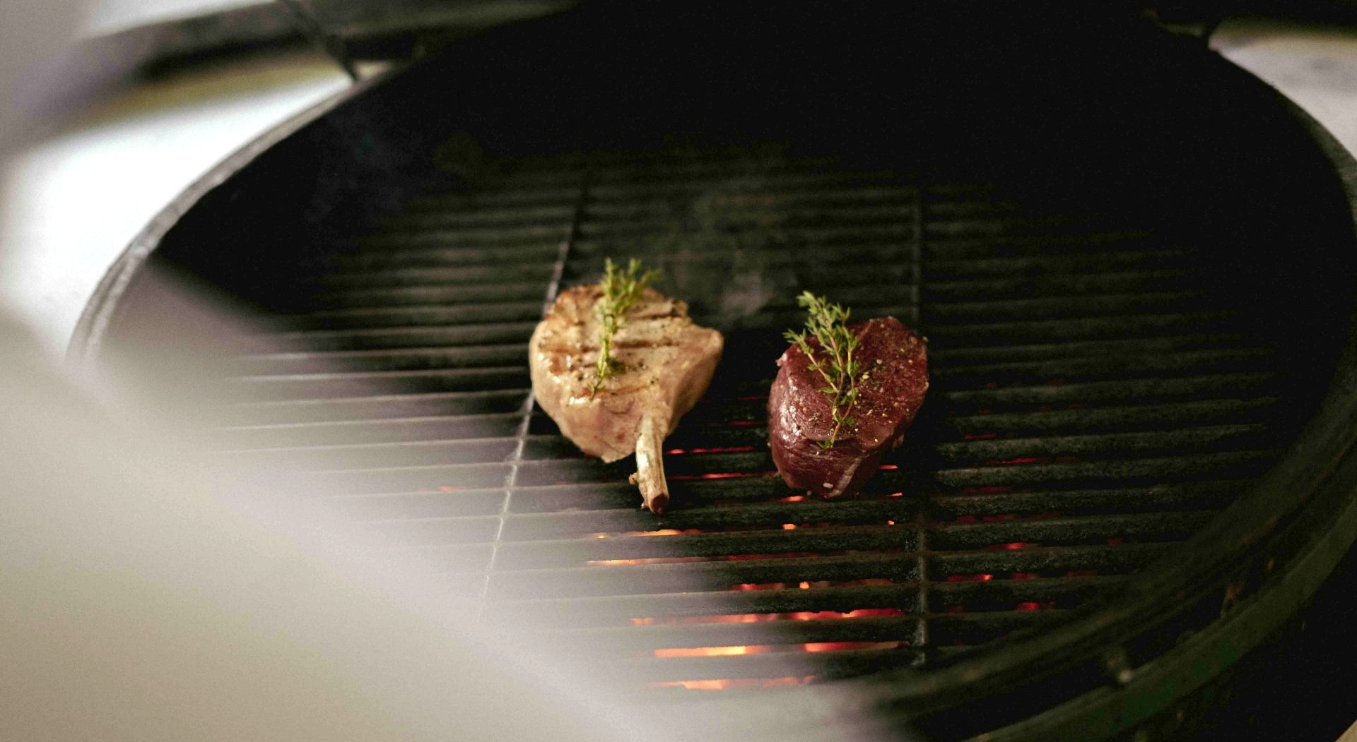 plappermaul referenz ins haas griller fleisch