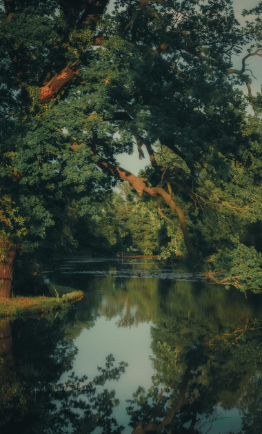 plappermaul referenz Das Bründl CoverImage