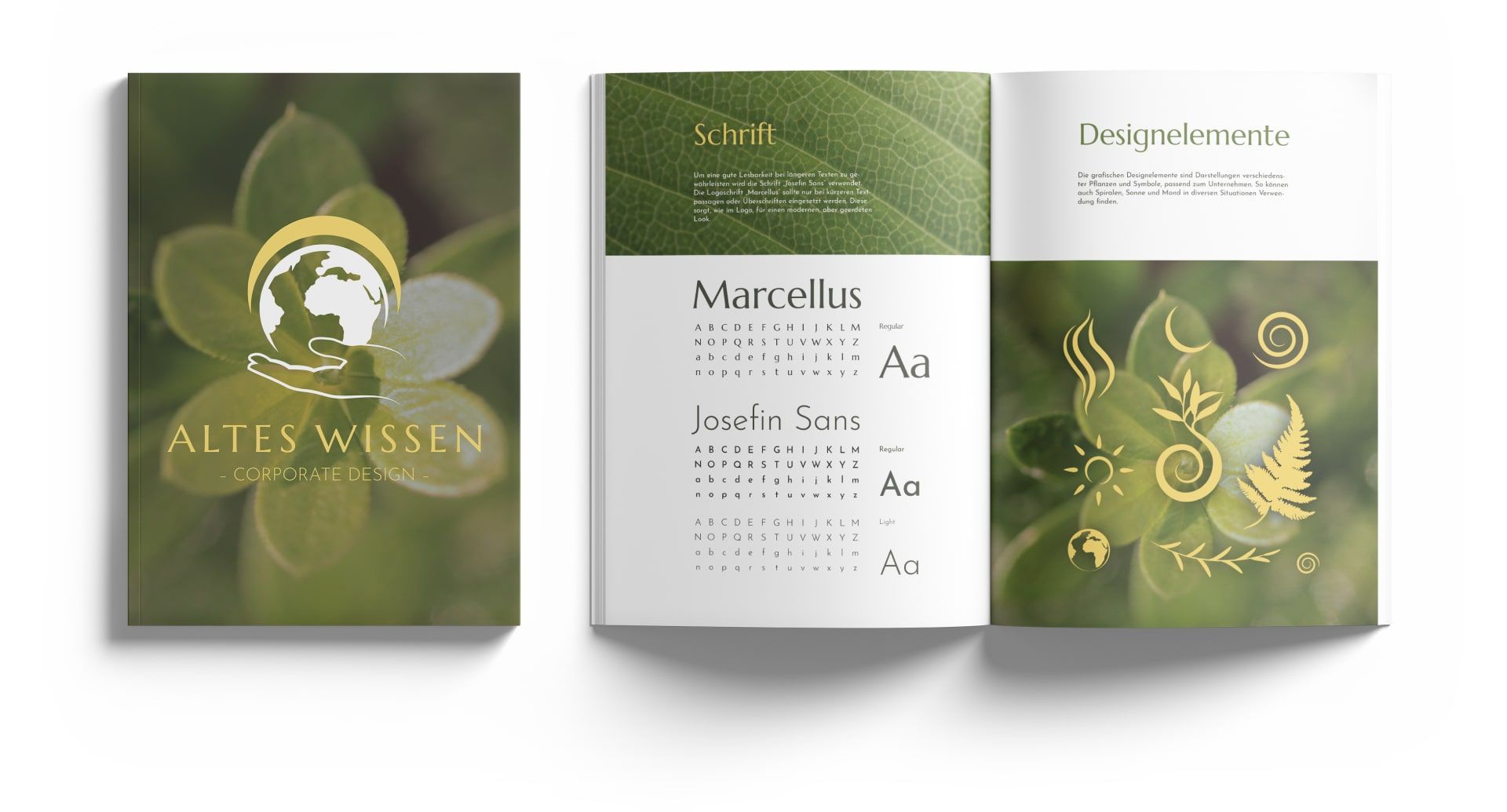 Plappermaul Referenz Altes Wissen Corporate Design