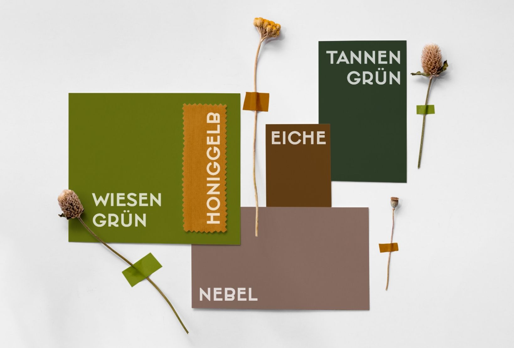 Hochhubergut Corporate Design Elemente - Plappermaul Referenz