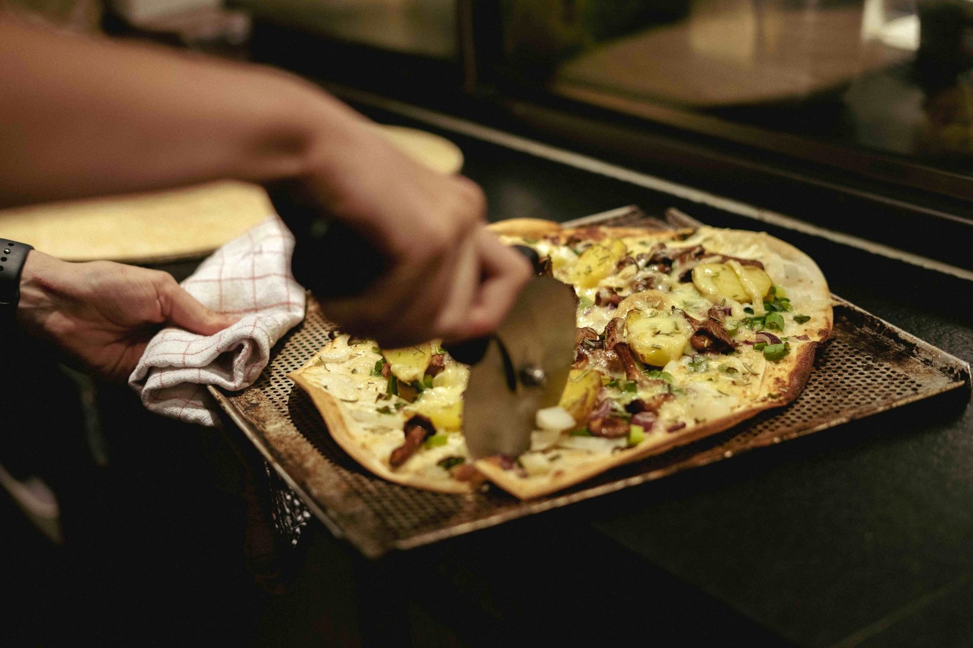 plappermaul referenz ins haas flammkuchen
