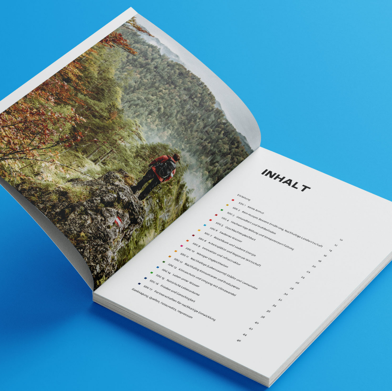 Plappermaul Referenz RSR Bericht Mockup Inhaltsseite