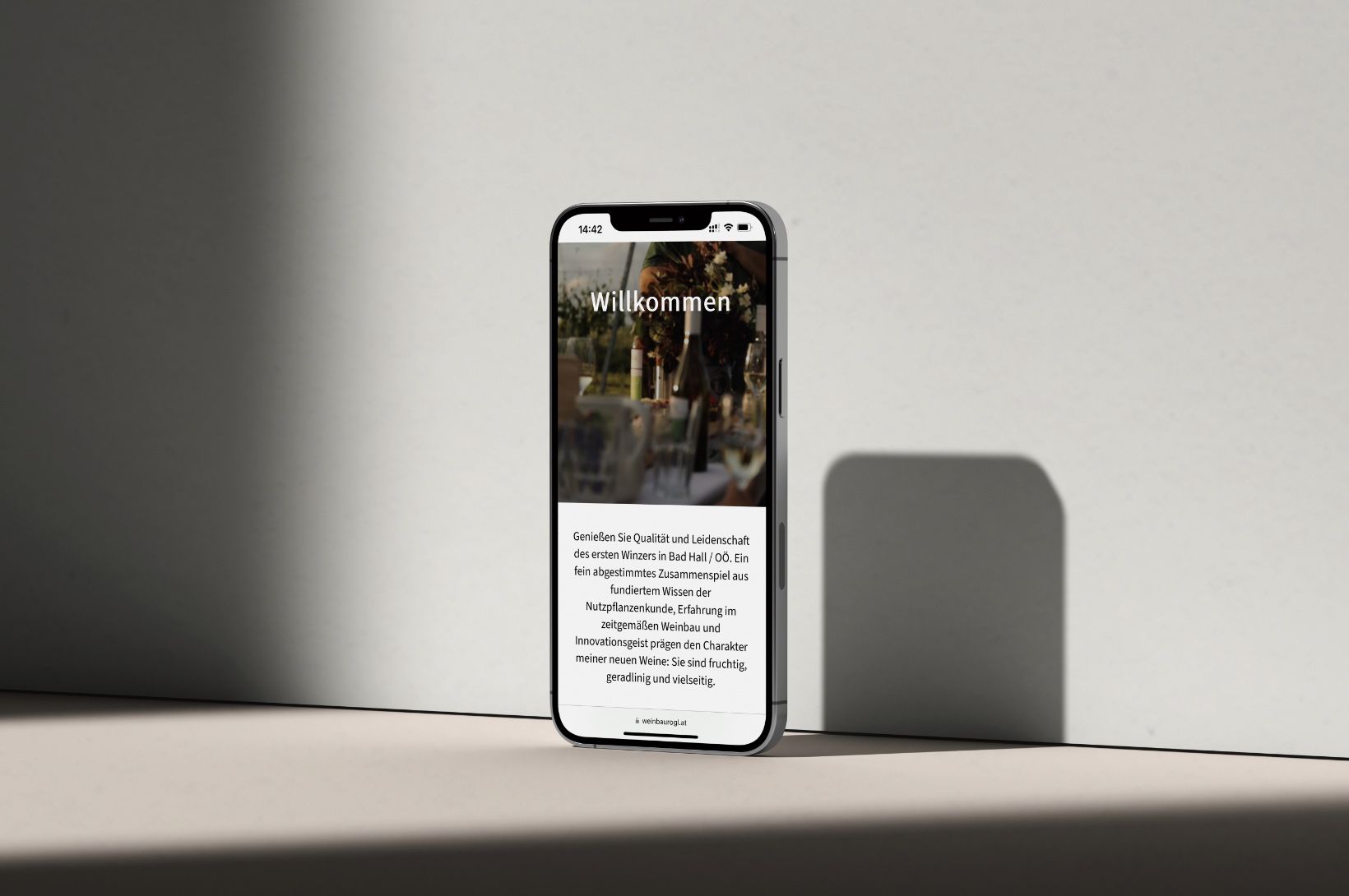 plappermaul referenz weinbau rogl website mobil