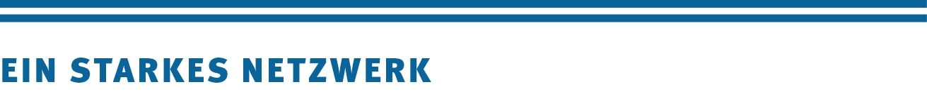Servers Referenz - Starkes Netzwerk