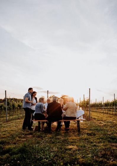 weinbau rogl wein jause sonnenuntergang