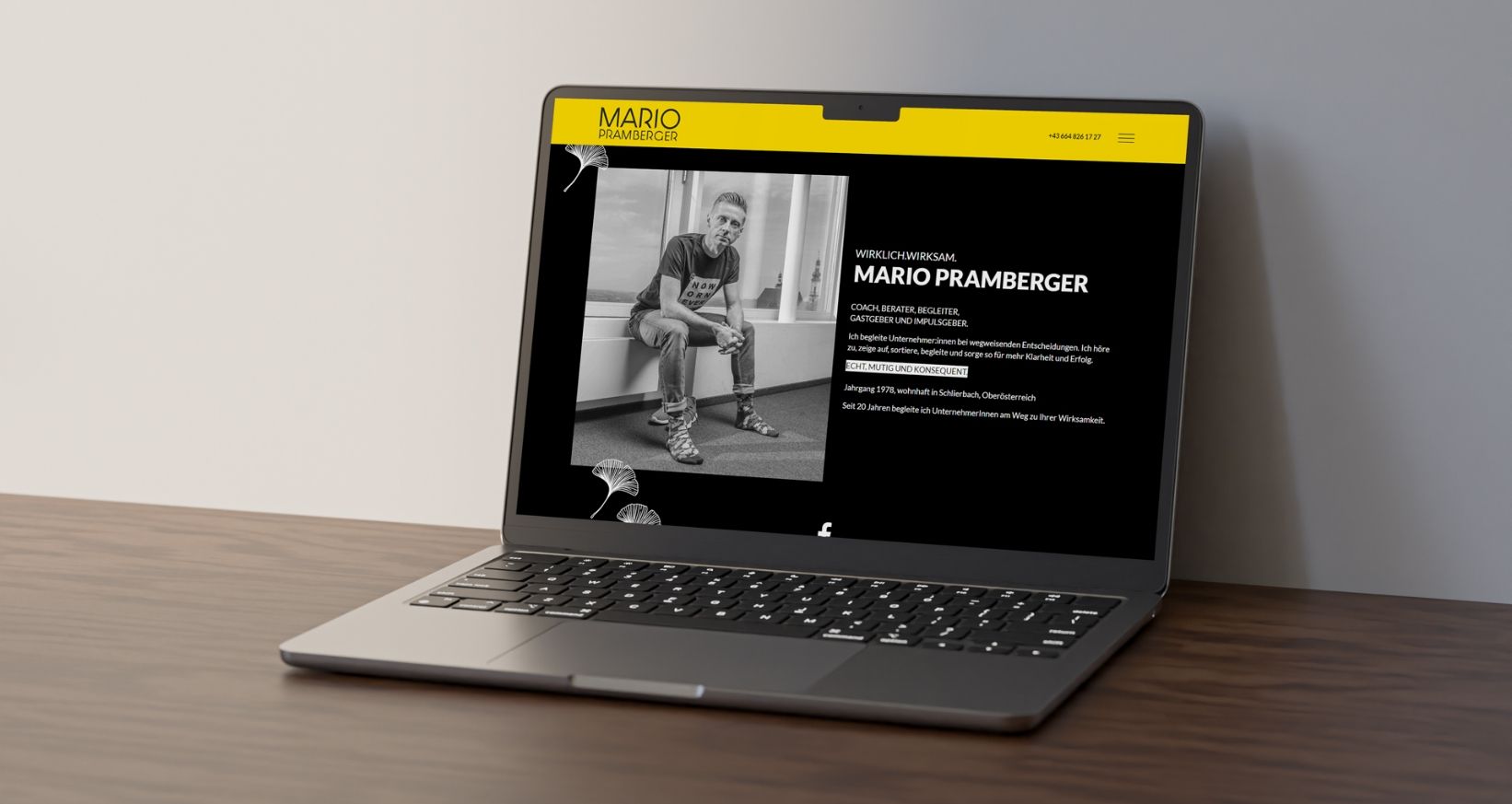 Plappermaul Referenz wirklich wirksam Mario Pramberger website über mich