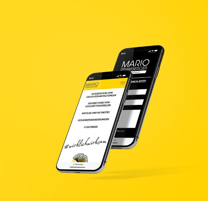 Plappermaul Referenz wirklich wirksam Mario Pramberger website mobil